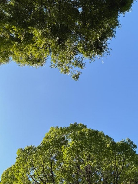 写メ