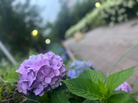写メ
